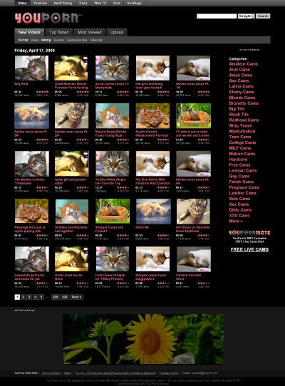 homepage youporn 2009